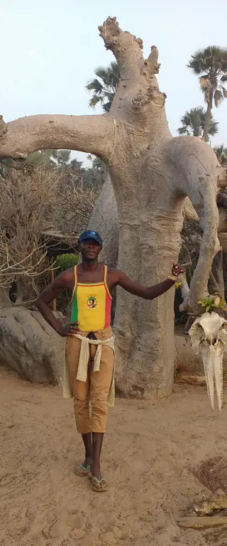 Gambia Reisen – das kleinste Land auf Afrikas Festland